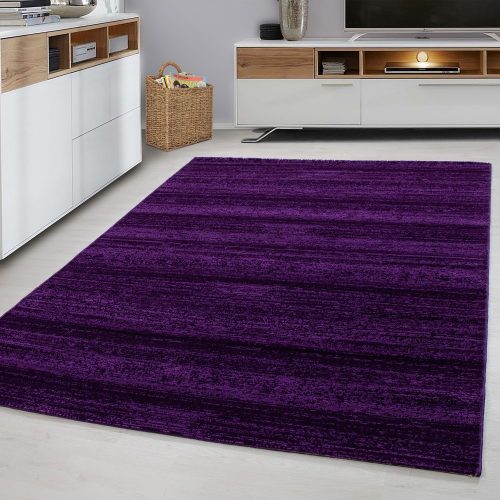 Predajňa 4. Ay plus 8000 fialový 80x150cm Moderný koberec v akcii